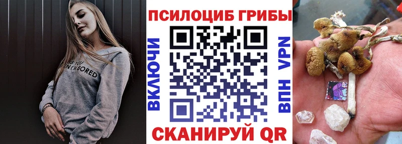 где купить наркоту  гидра сайт  Псилоцибиновые грибы Magic Shrooms  Батайск 